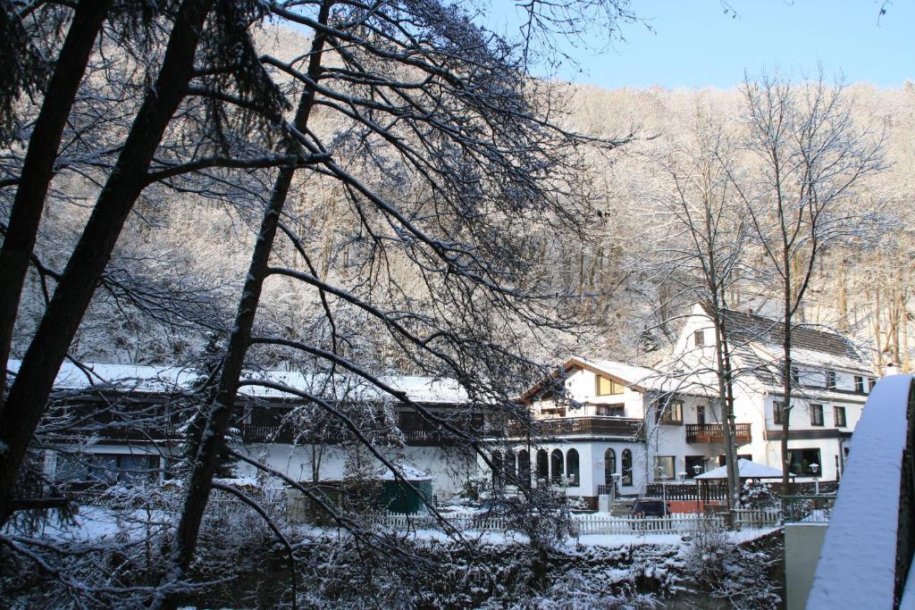 Hotel Wiedfriede Roßbach Exterior foto